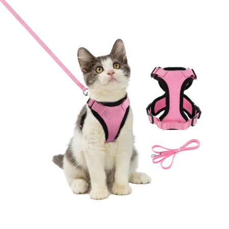 Cat Full Body Harness and Leash